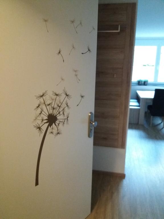 Ferienwohnung Pusteblume 莱茵豪森 外观 照片